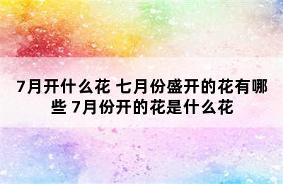 7月开什么花 七月份盛开的花有哪些 7月份开的花是什么花